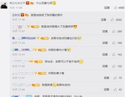 评论区视频吃瓜怎么回复